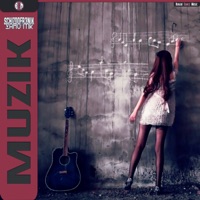 Muzik - Single - Schizoofr3nik & Varo MK