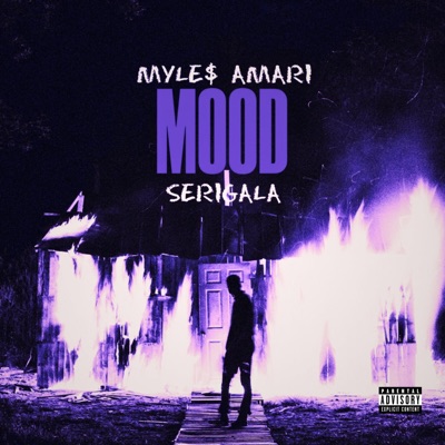MOOD (feat. Myles Amari) [Clean Version] - Single