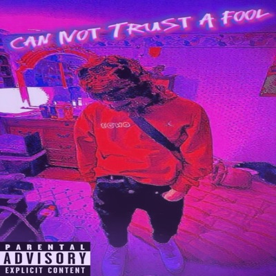 Can Not Trust A Fool - Single