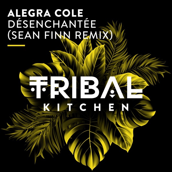 Désenchantée (Sean Finn Remix) - Single