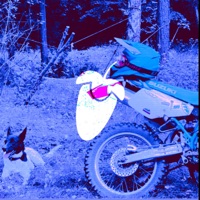 2 2 trippy szajbus - Single - BŁG