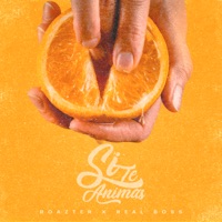 Si Te Animas - Single - Roazter
