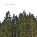 CR