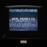 VEN PERRITA (feat. SUBLIME OG) - Single - Robert Rifle