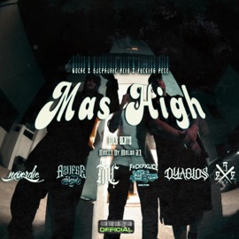 Mas High (feat. Sulphuric Acid & F****n'Pele) Boche