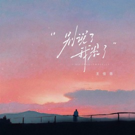 别说了 我累了 (伴奏) 王佳音