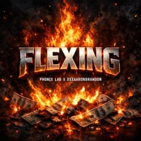 Flexing (feat. xxxaaronbrandon) - Single - Phonix Lab