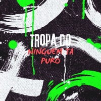 Tropa do Ninguém Ta Puro (feat. Game Records) - Single - DJ WOODY ORIGINAL, MC Mauricio da V.I & mp40