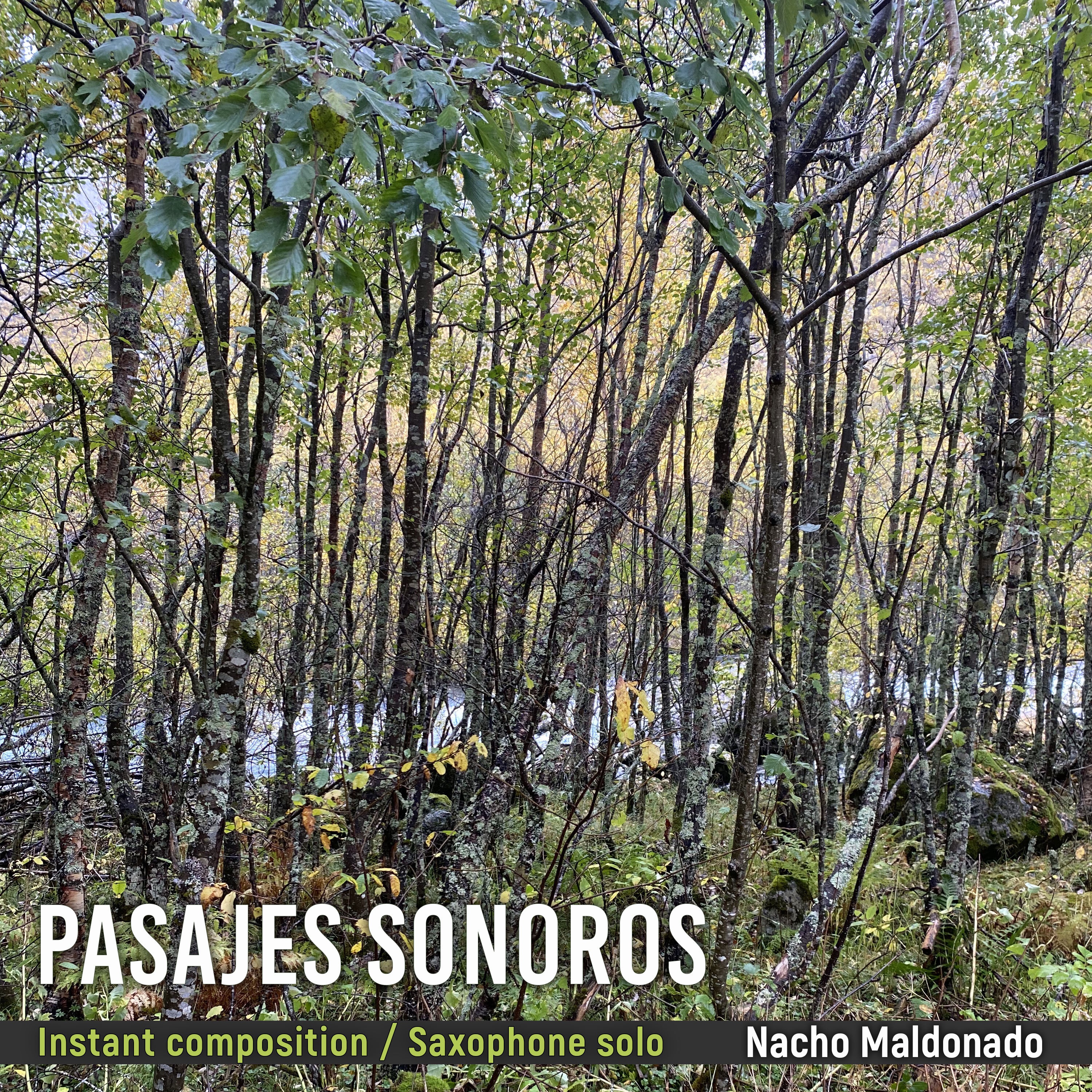 Pasajes Sonoros, Instant Composition / Saxophone Solo