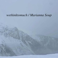 Marianna Soup - how could i stop (feat. wethinktomuch)