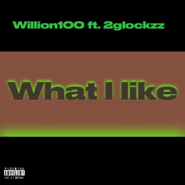 What I Like (feat. 2glockzz) Willion100