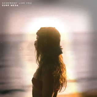 Surf Mesa – Somebody Like You – Single (2025)