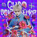 СИЛА ПРИТЯЖЕНИЯ