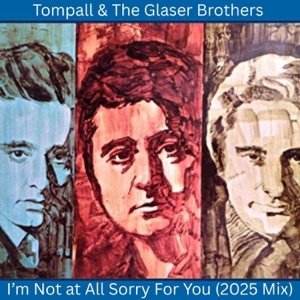 I'm Not at All Sorry for You (2025 Mix) - Single