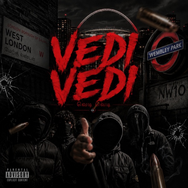Vedi Vedi