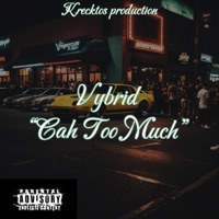 Cah Too Much - Single - Vybrid
