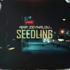 Seedling