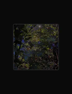 Posłuchaj wykonawcy 2coffee, obejrzyj teledyski, przeczytaj biografię, zobacz daty tras koncertowych i nie tylko!