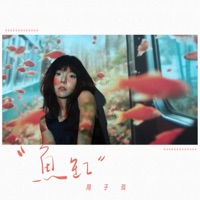 鱼缸 - Single - Taylor Bebby