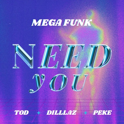 Mega Funk Need You - Single