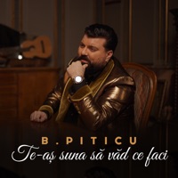 Te-as suna sa vad ce faci - Single - B.Piticu
