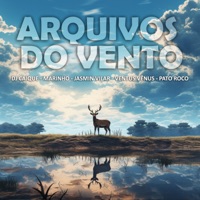 Arquivos do Vento (feat. Jasmin Vilar, Ventus Vênus & Pato Roco) - Single - DJ Caique, Marinho & Made in Chapada
