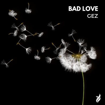 BAD LOVE (feat. Ardy Minaj) - Single
