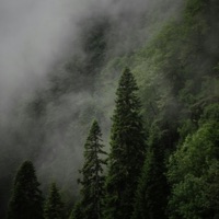 the glade - Single