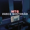 Mtg Desce Gostosão (feat. Dj Daniel Fernandes & DJ FAEL DA BA) - Single