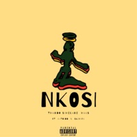 Nkosi (feat. skhiya & A_Toidd) - Single - Thando Simelane & Maas