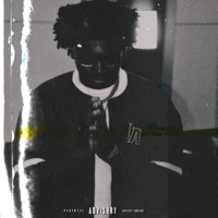 Testimony - Single - R$g Plug