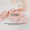 Summertime Sadness Feat. Blu - Zamna Soundsystem, Rozyo & Armonica