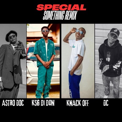 Special Something (feat. KSG Di Don, AstroDoc & Always DC) [Remix] - Single