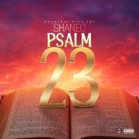 Psalm 23 - Single - Shane O