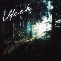 UDEEK - Single - Zehr Vibe