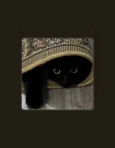 Listen to Ridetodie, watch music videos, read bio, see tour dates & more!