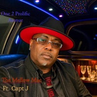 One 2 Prolific Avenue (feat. Capt J) - Single - The Mellow Mac
