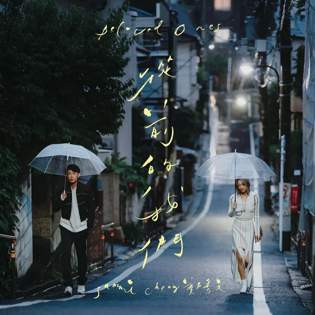 鄭秀文 - 從前的我們 - Single (2024) [iTunes Plus AAC M4A]-新房子