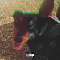 CHALANT - Tyler Sweet