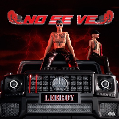 No se ve - Single