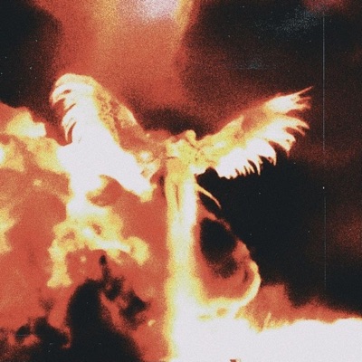 Phoenix Texture 4 - Single
