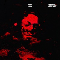 PHXNK WXRLD 2: ANOTHER REALITY - Krasavchikov