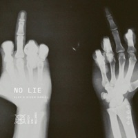 NO LIE (feat. Given Daniel) - Single - The Noise Unheard & ALXX