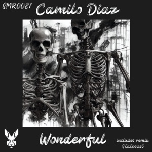 Wonderful - Single