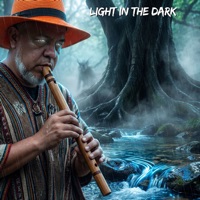 Light in the Dark - Single - Paiakan Spirit, Kalebaymon, Celestial Melodies & Sacred Flute