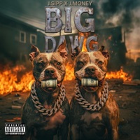 BIG DAWG (feat. J Money) [Radio Edit] - Single - J.Sipp & Kia Shine