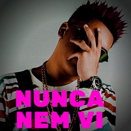 Nunca Nem Vi MC Novin