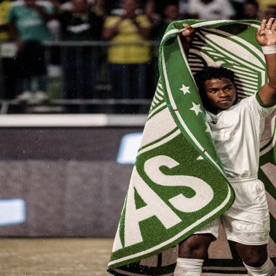 Palmeiras Dodeca Brasileirão - Single