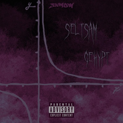 Seltsam Gehypt - Single