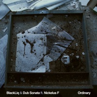 Ordinary - Single - BlackLiq, Dub Sonata & Nickelus F